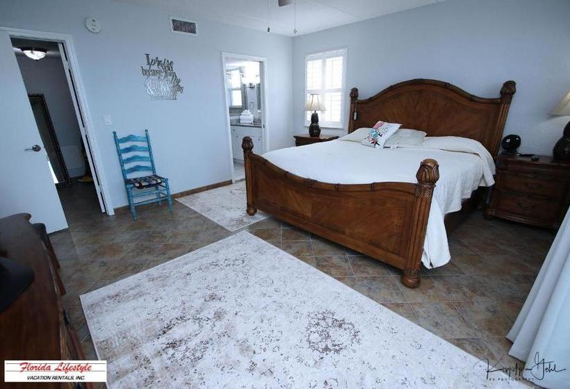 Tortugas De Mar 103b