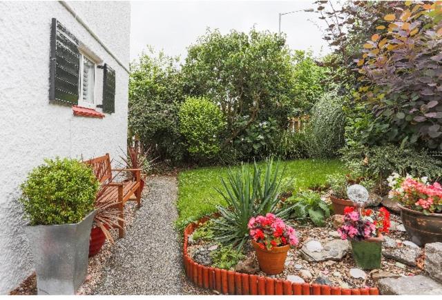 Tredara Bed & Breakfast