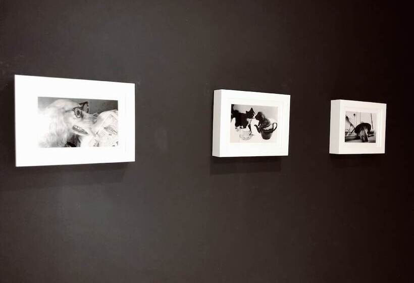 Uribarri En El Corazon By Urban Hosts