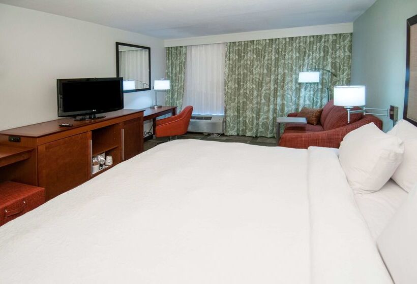 Hampton Inn Lafayette I 10