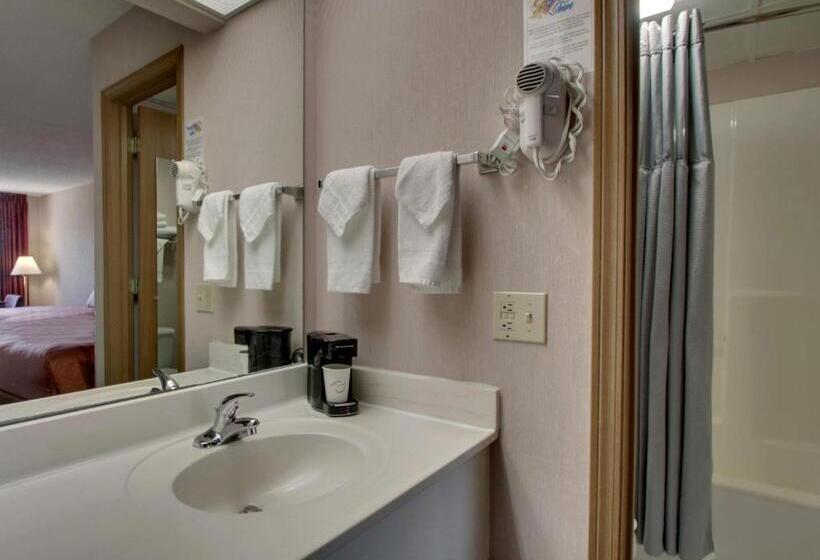 فندق Angel Inn  Central