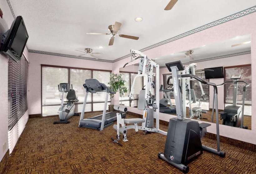 ホテル Baymont By Wyndham Lewisville