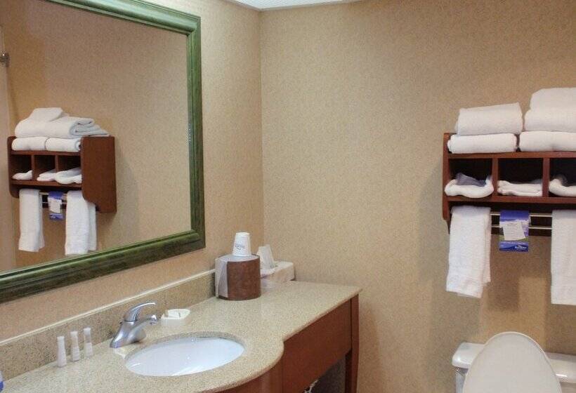 ホテル Baymont By Wyndham Lewisville