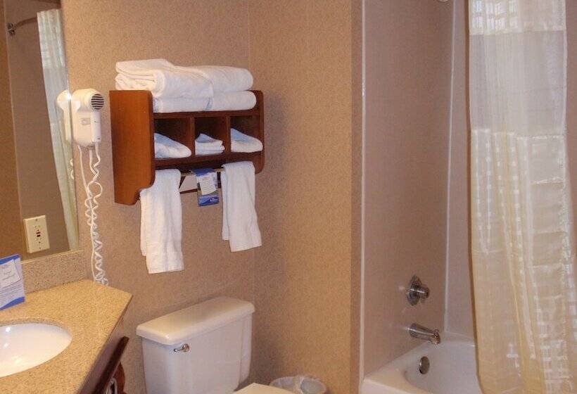 ホテル Baymont By Wyndham Lewisville