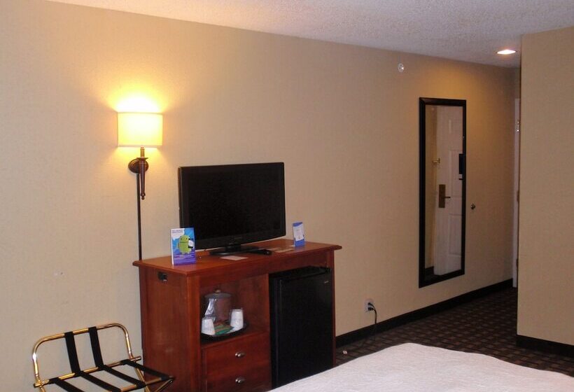 ホテル Baymont By Wyndham Lewisville