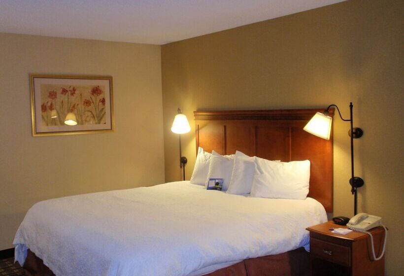 ホテル Baymont By Wyndham Lewisville