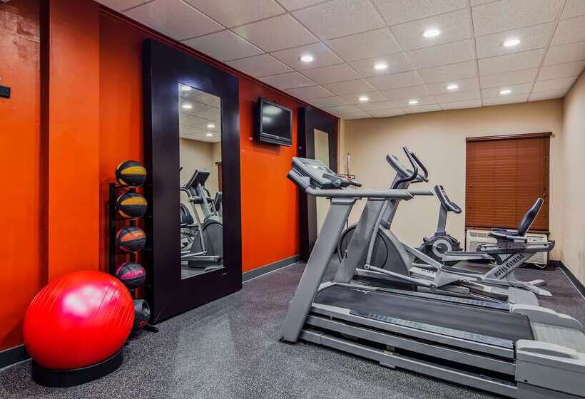 فندق Best Western Albemarle Inn