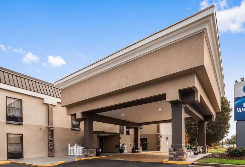 فندق Best Western Albemarle Inn