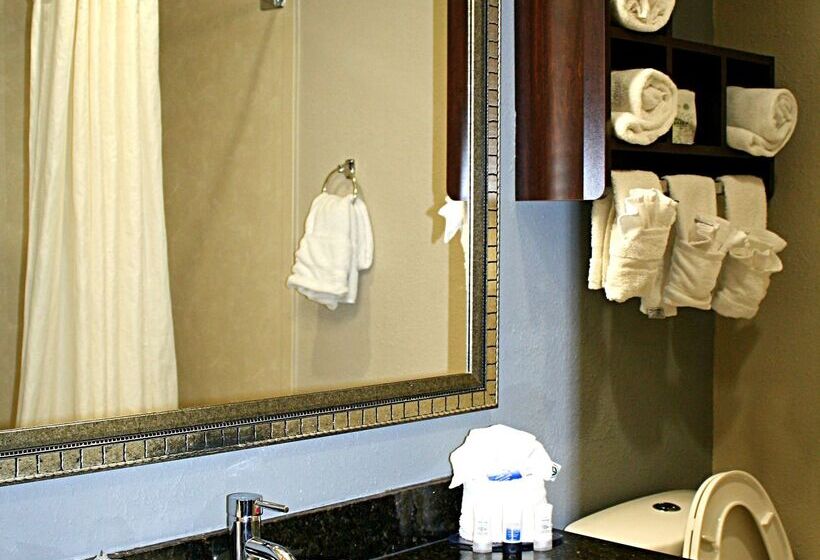 فندق Best Western Albemarle Inn