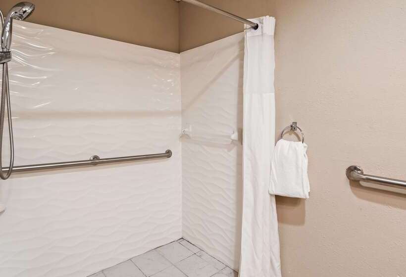 فندق Best Western Albemarle Inn