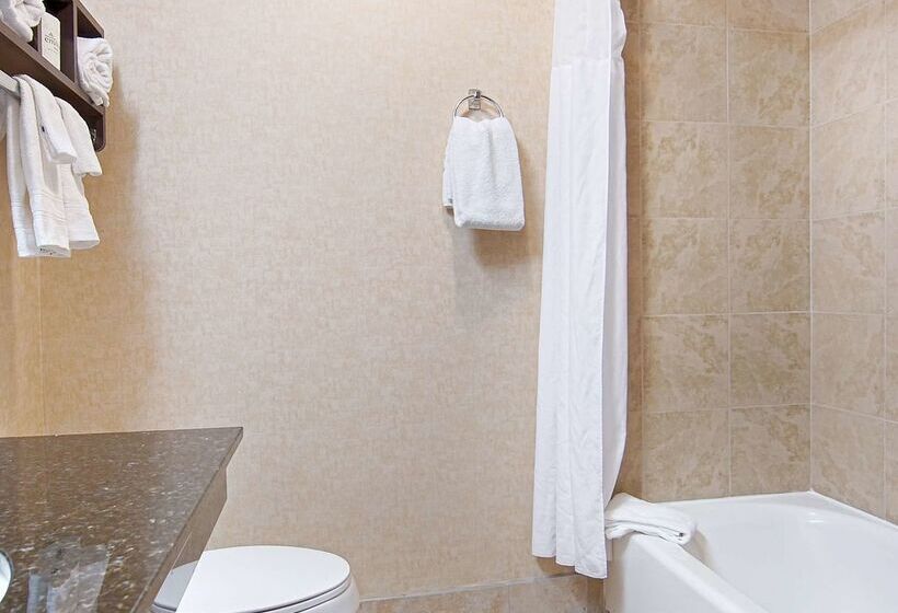 فندق Best Western Albemarle Inn