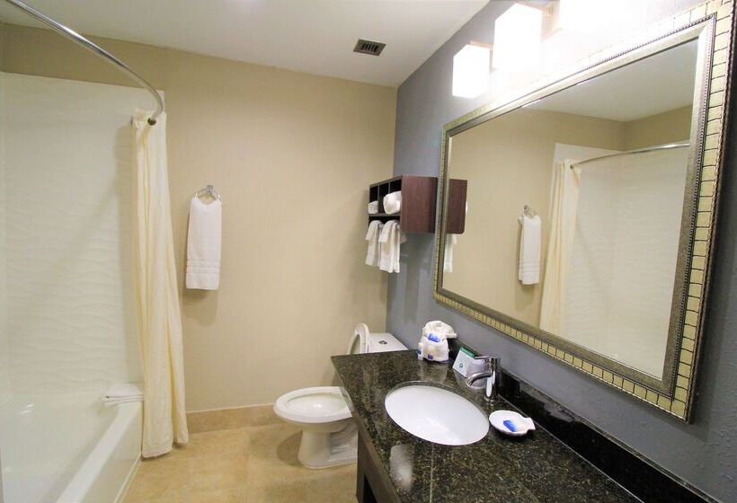 فندق Best Western Albemarle Inn