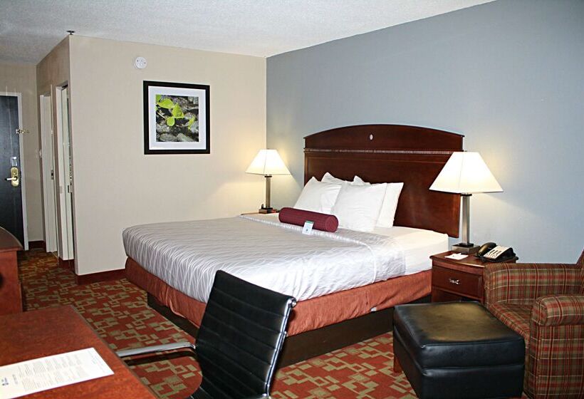 فندق Best Western Albemarle Inn