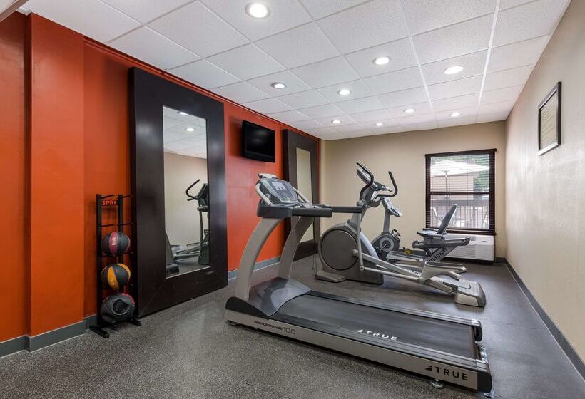 فندق Best Western Albemarle Inn