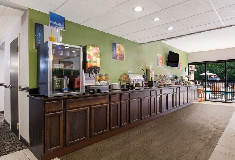 فندق Best Western Albemarle Inn