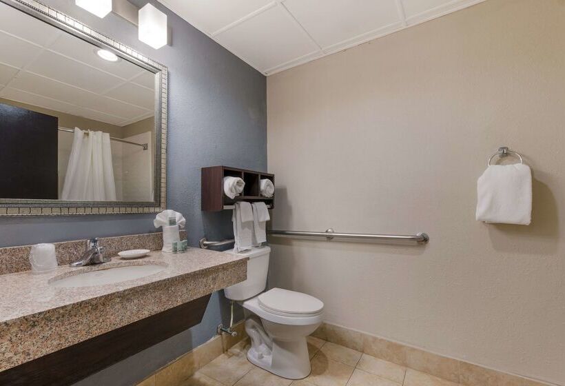 فندق Best Western Albemarle Inn