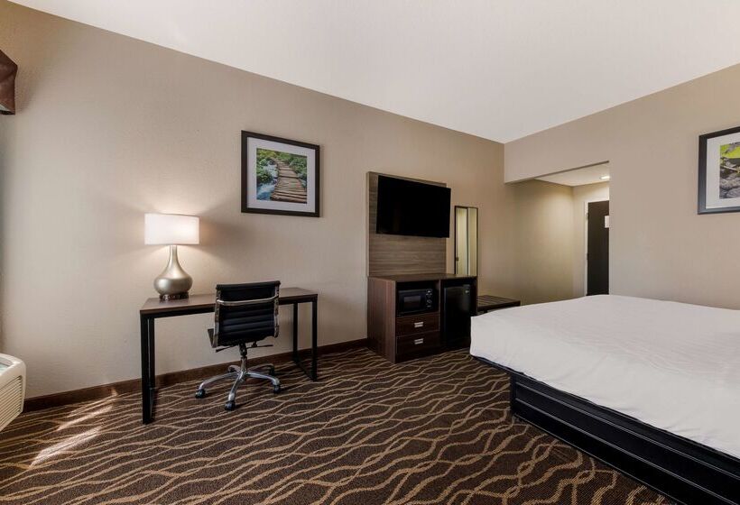 فندق Best Western Albemarle Inn