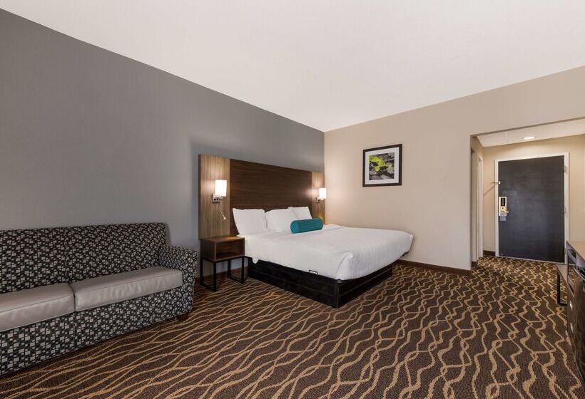 فندق Best Western Albemarle Inn