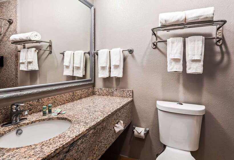 בית מלון כפרי Best Western Auburn/opelika Inn