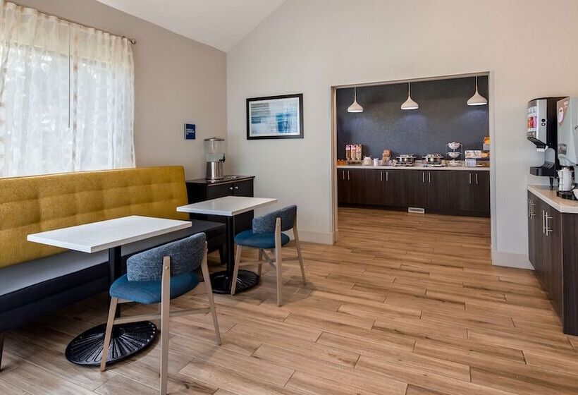 فندق Best Western Hampshire Inn & Suites