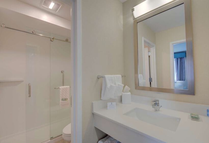 فندق Best Western Hampshire Inn & Suites