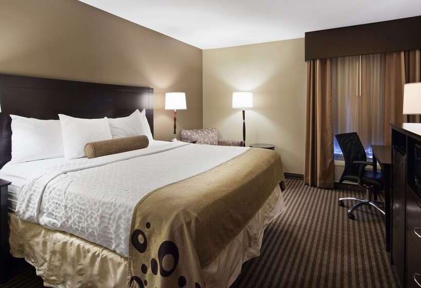בית מלון כפרי Best Western Plus Mishawaka Inn
