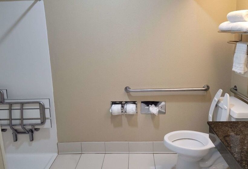 فندق Best Western Plus Mishawaka Inn