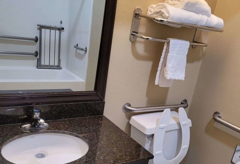 هتل Best Western Plus Mishawaka Inn