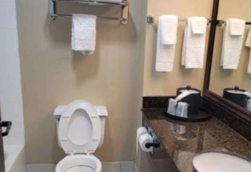 هتل Best Western Plus Mishawaka Inn