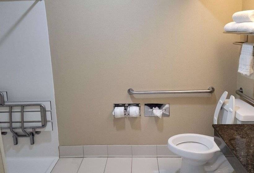 فندق Best Western Plus Mishawaka Inn