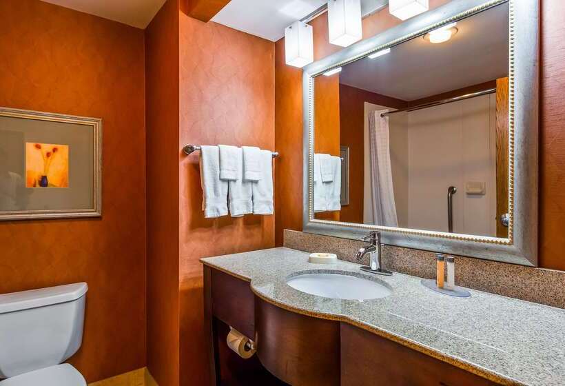 Отель Best Western Plus Wichita West Airport Inn