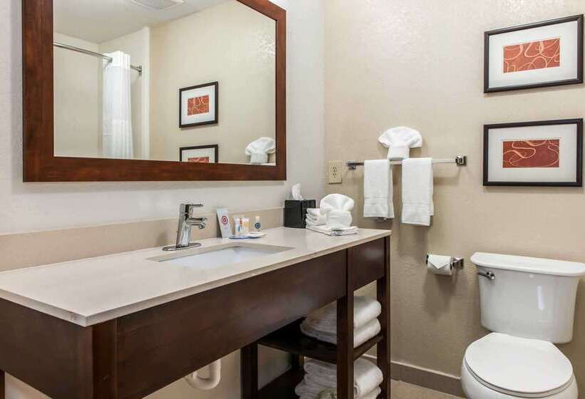 فندق Comfort Inn Blue Ash North
