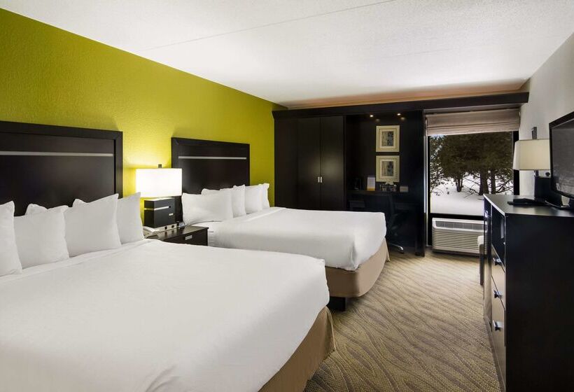 ホテル Comfort Inn