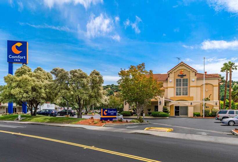 ホテル Comfort Inn Fairfield Napa Valley Area