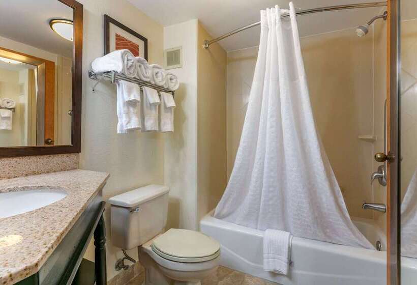 هتل Comfort Inn Downtown