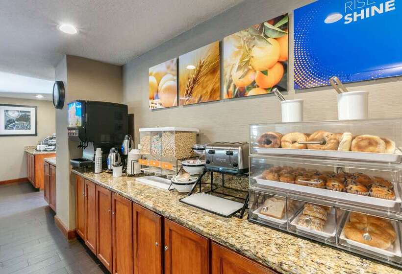 هتل Comfort Inn Downtown