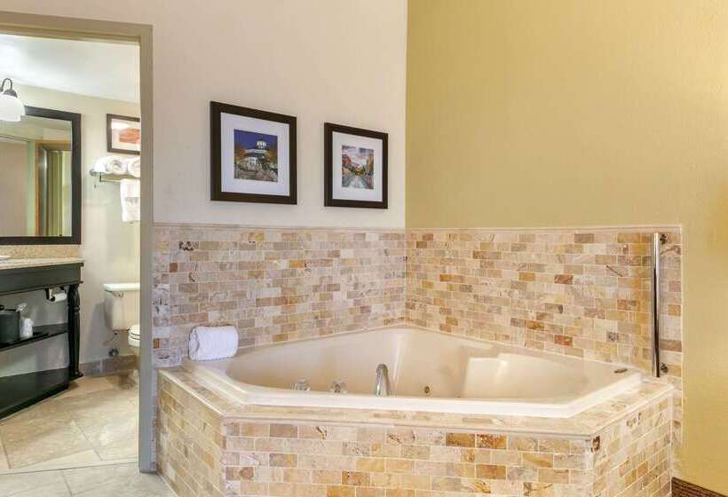 هتل Comfort Inn Downtown