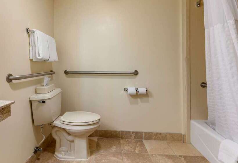 هتل Comfort Inn Downtown