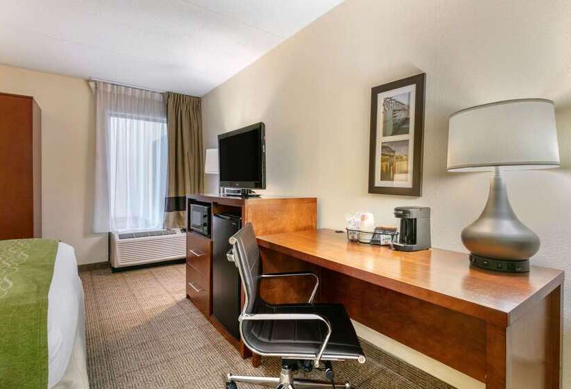هتل Comfort Inn Downtown
