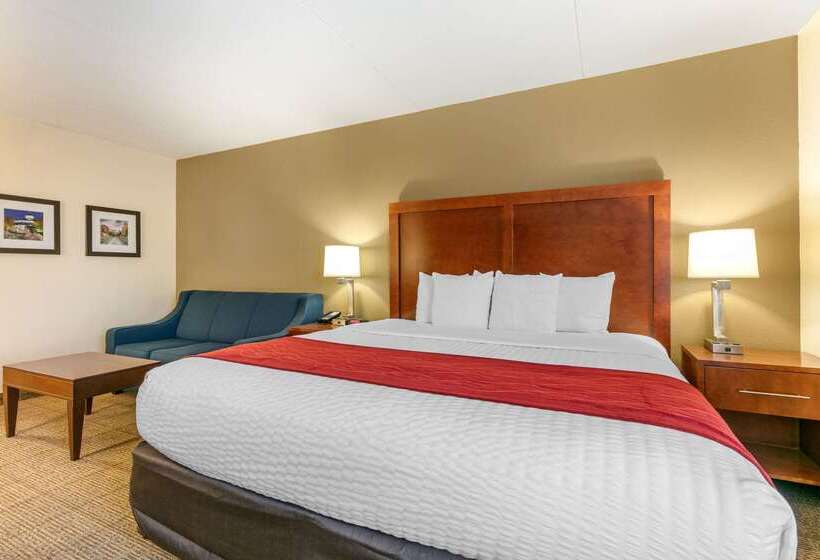 هتل Comfort Inn Downtown