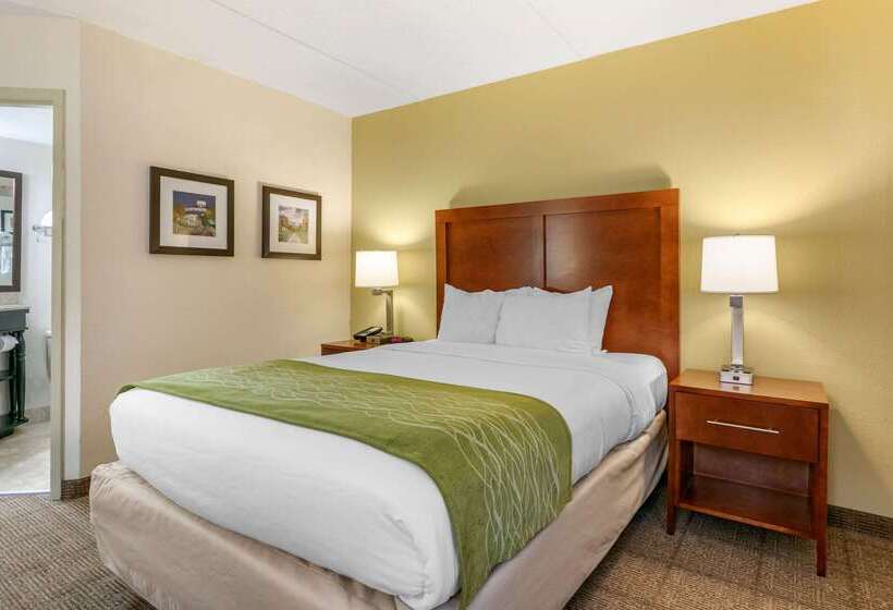 هتل Comfort Inn Downtown