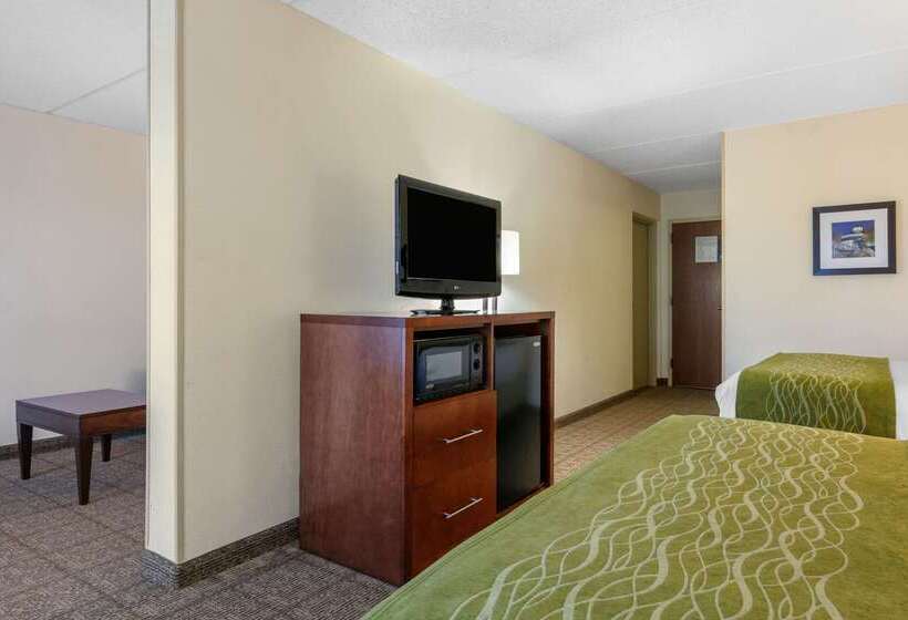 هتل Comfort Inn Downtown