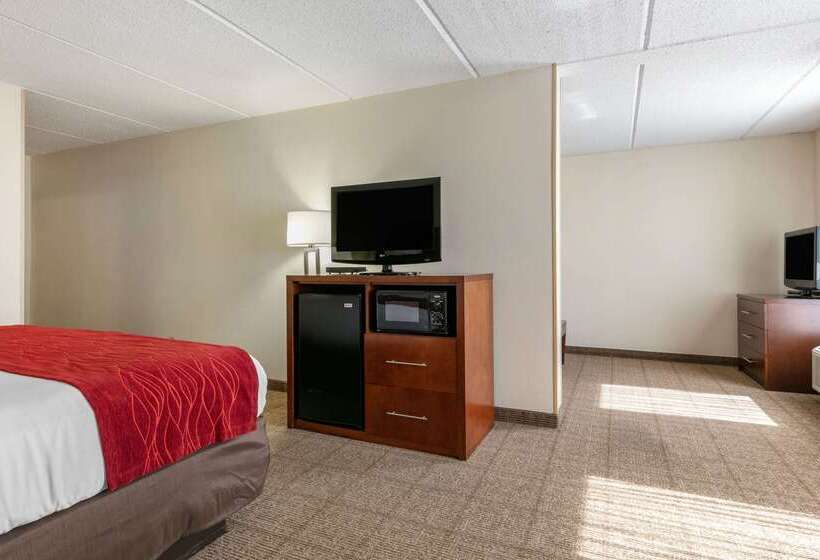 هتل Comfort Inn Downtown