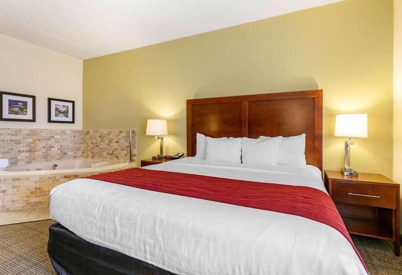 هتل Comfort Inn Downtown