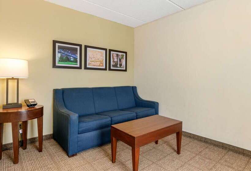 هتل Comfort Inn Downtown