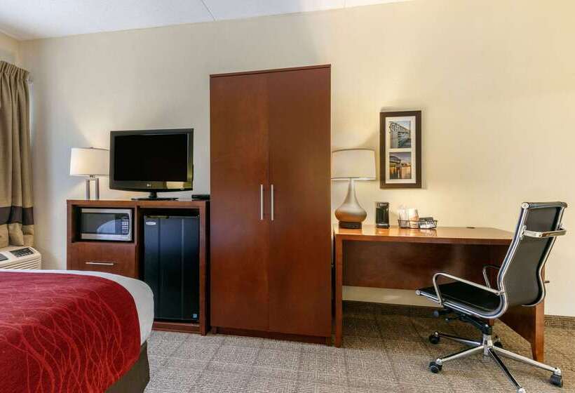 هتل Comfort Inn Downtown