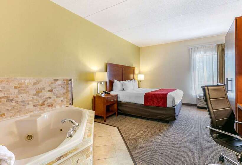 هتل Comfort Inn Downtown