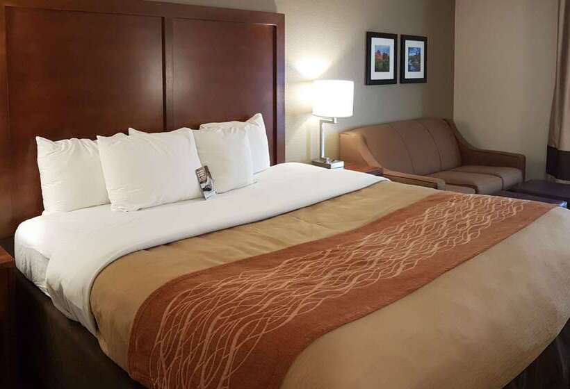 هتل Comfort Inn I 10 West At 51st Ave