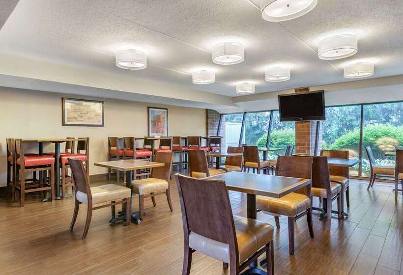 فندق Comfort Inn