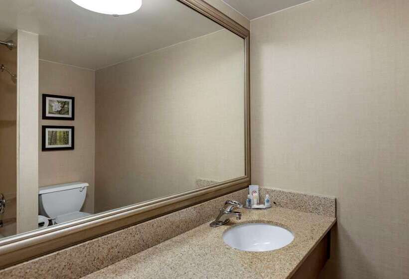 فندق Comfort Inn